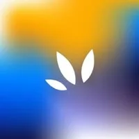 Web Tribe Studio
