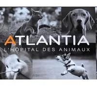Atlantia Veterinary Hospital